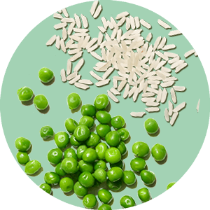 Proteine del pisello e del riso