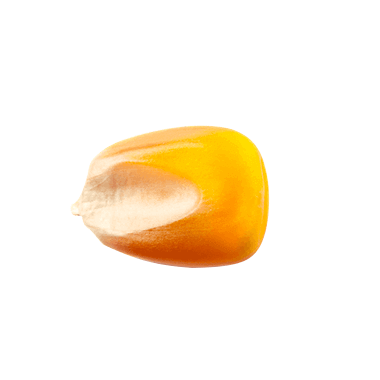 Glutammina naturale.