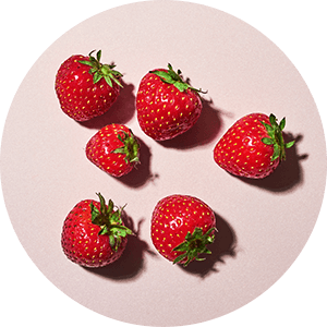 1x Fragola