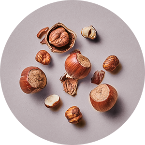 Nocciola