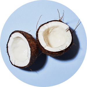 1x Cocco Croccante
