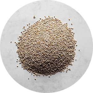 Semi di chia
